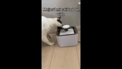 Fuente de Agua Para Mascotas Pet®